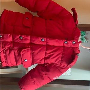 Baby Gap toddler jacket size